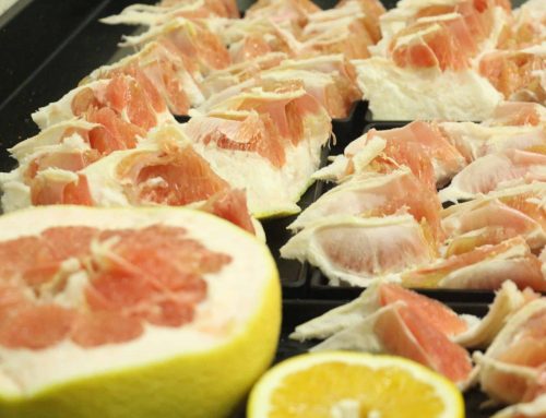 ¡El "pomelo de batalla" en el pomelo, el pomelo sólido hizo una aparición impresionante!